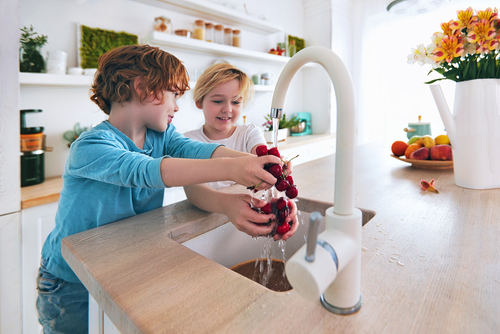 Happy Kids washing grapes in the kitchen sink